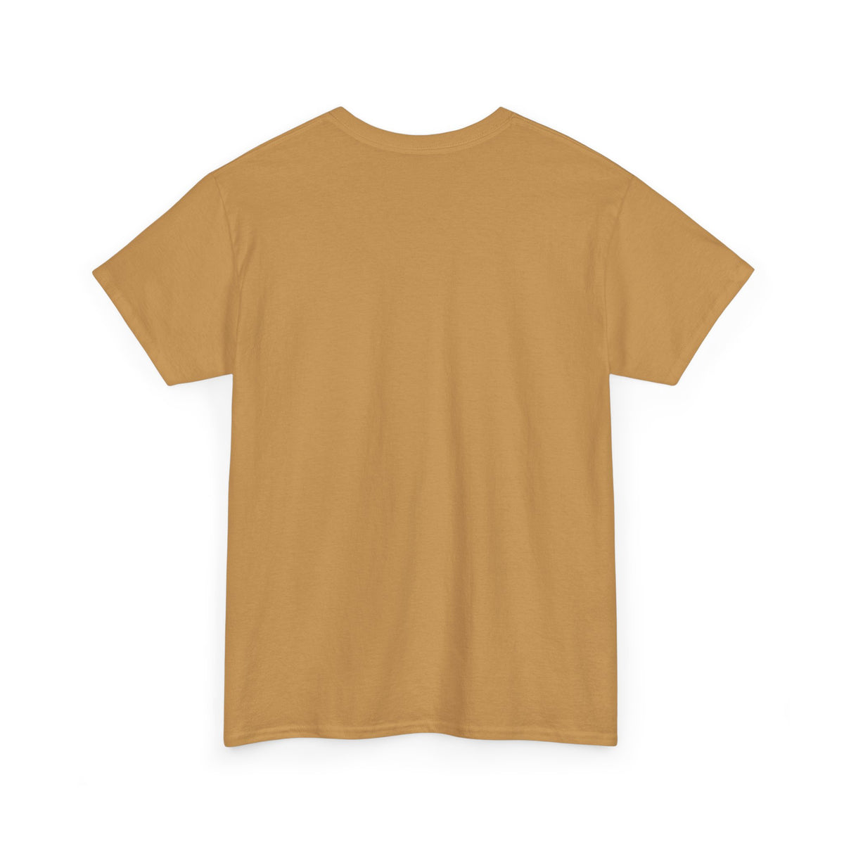 Urbanite Art print of old Queenslander houses on midweight cotton T shirt
