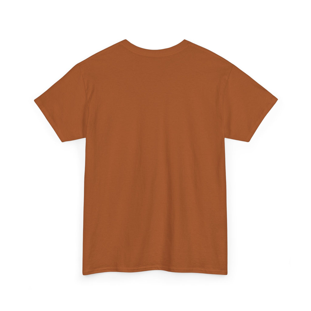 Urbanite Art print of old Queenslander houses on midweight cotton T shirt